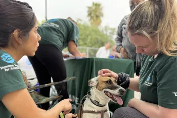 Humane Journeys staff visit Animal Brigade, a mock mobile clinic in Aguascalientes, and a partner shelter in Holbox to plan for the 2026 Humane Journeys donor trip.